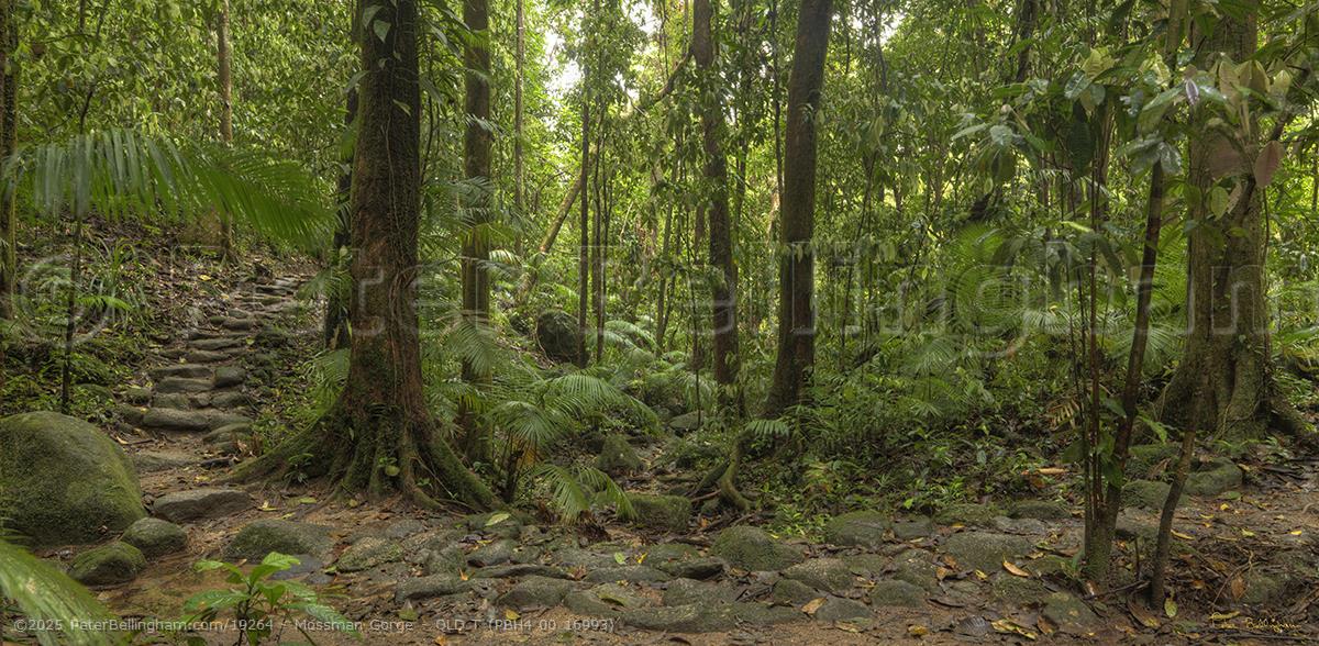Peter Bellingham Photography Mossman Gorge - QLD T (PBH4 00 16993)